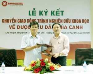 Diabetna được chuyển giao từ đề tài nghiên cứu cấp Bộ về Dây thìa canh 